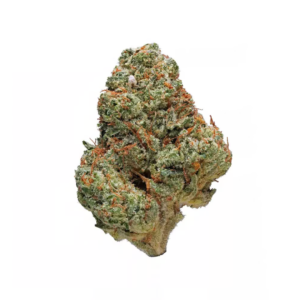 Guava Cookies - 35.72% (Hybrid)