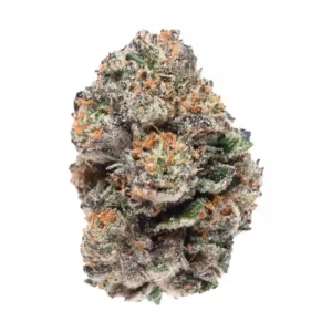 Gusher - 31.16% (Hybrid)