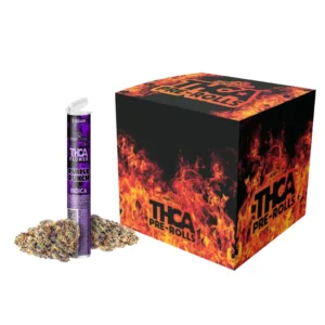 Purple Punch - 30.2% 1g Preroll (Indica)