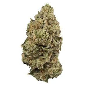 Moonbow - 31.13% (Indica)
